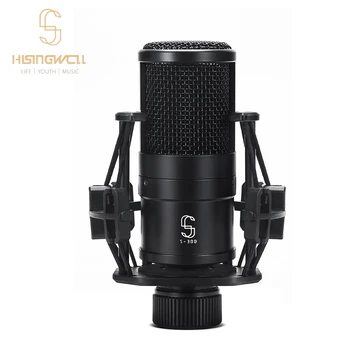 HISINGWELL S-300 Microfone Condensador do Microfone Profissional Home Studio de Gravação do Microfone Para Jogos de Computador e Placa de Som